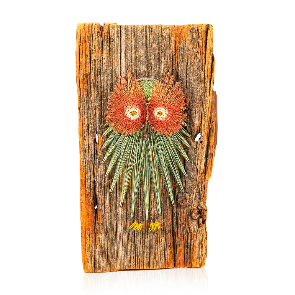 00.81 (A D) Wood Light Owl String Art